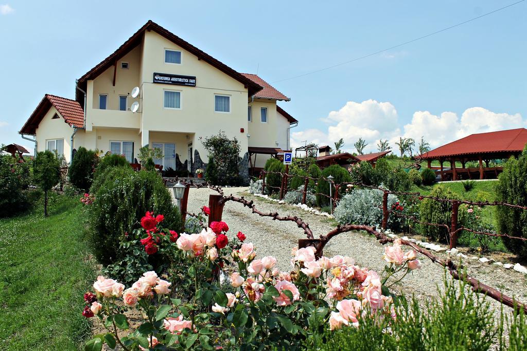 Pensiunea Faur Sebeş Exteriér fotografie